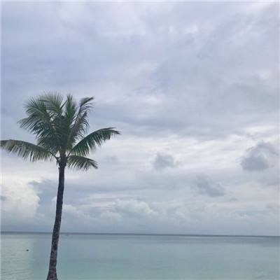 节奏抖魂游戏(暂未上线)v1.0.0 安卓版