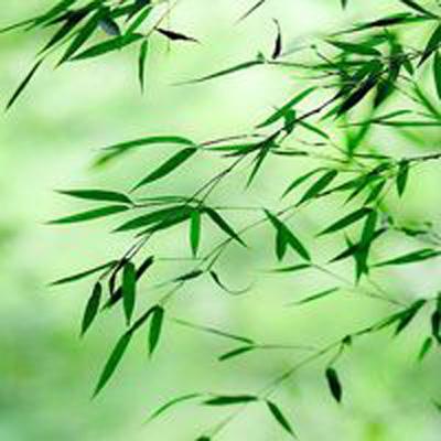 刺客特工猎人对决手机版下载
